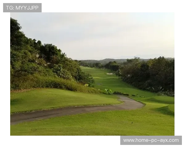 高尔夫巡回赛冷门解析：平静球场里的突然崛起者